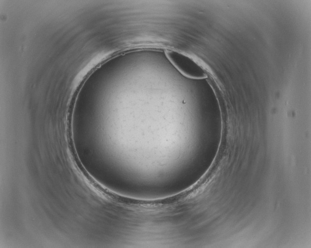 X0000060811333200511241926