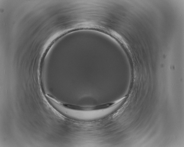 X0000060811334200511241926