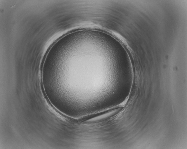 X0000060811335200511241926