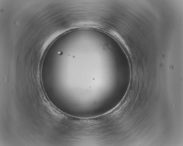 X0000060811336200511241926