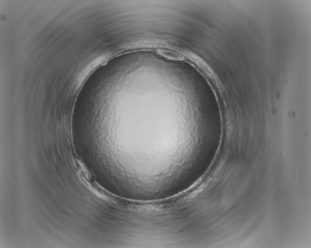 X0000060811337200511241926