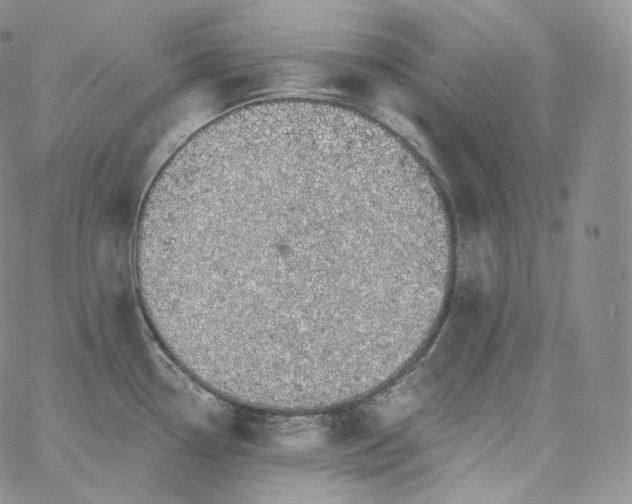 X0000060811338200511241926