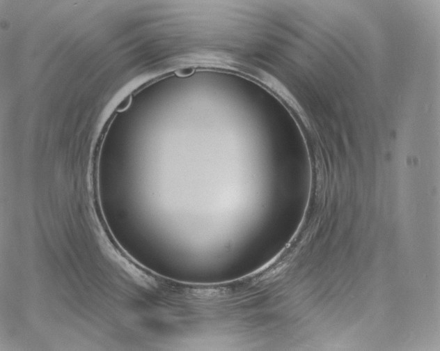 X0000060811339200511241926