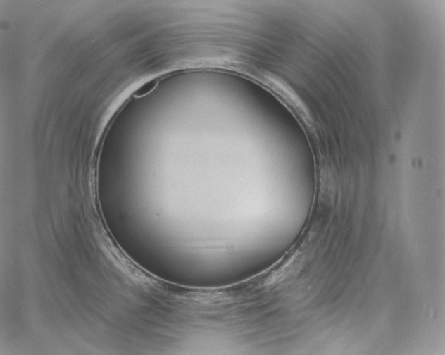 X0000060811340200511241926