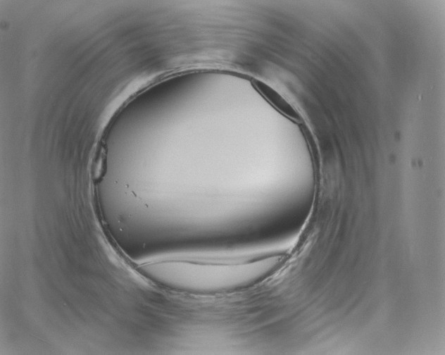 X0000060811341200511241926