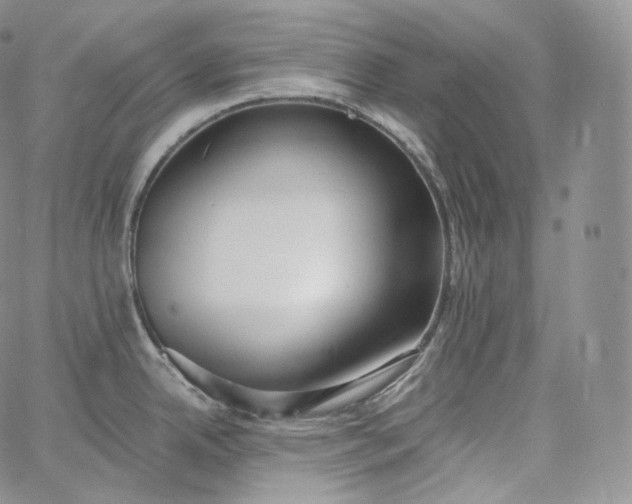 X0000060811342200511241926