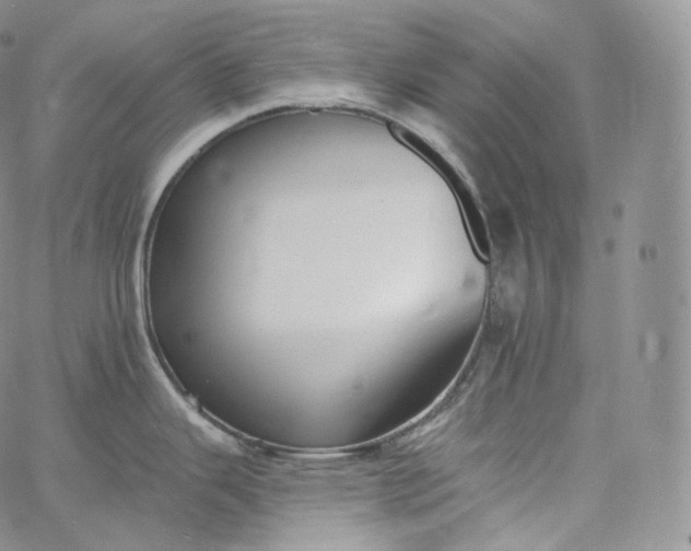 X0000060811343200511241926