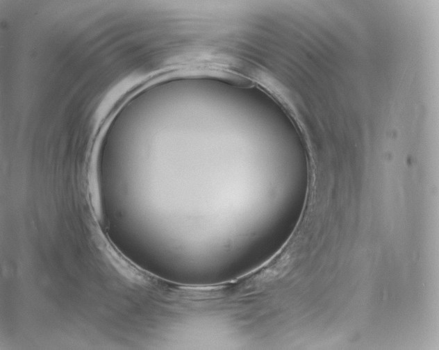 X0000060811344200511241926