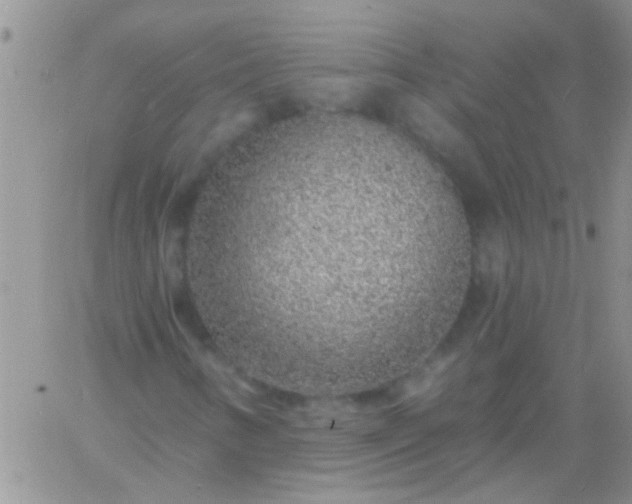 X0000060811346200511241925