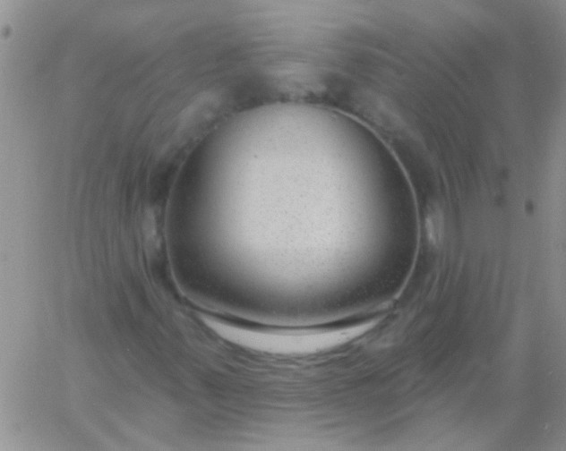 X0000060811347200511241925