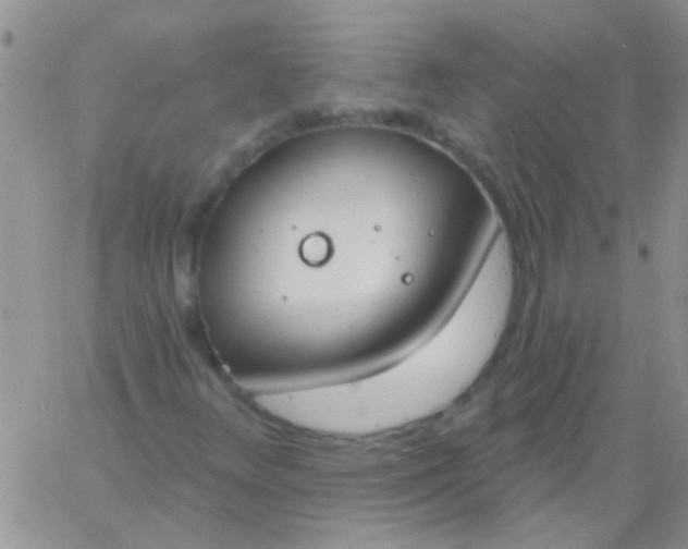 X0000060811348200511241925