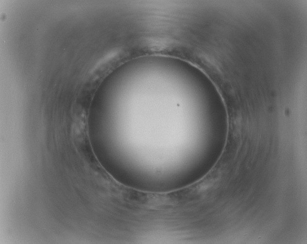 X0000060811349200511241925