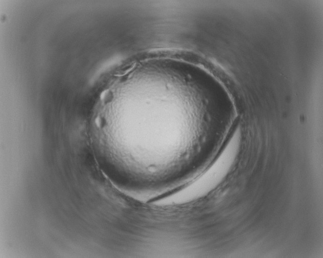 X0000060811351200511241925