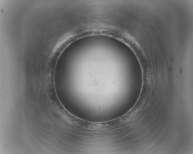 X0000060811352200511241925