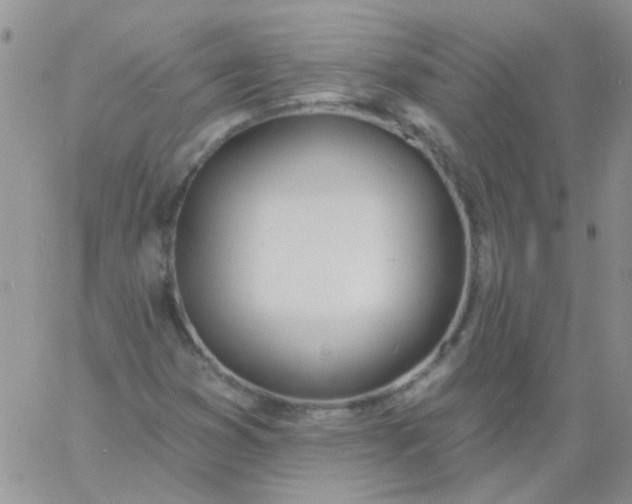 X0000060811353200511241925