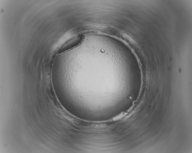 X0000060811354200511241925