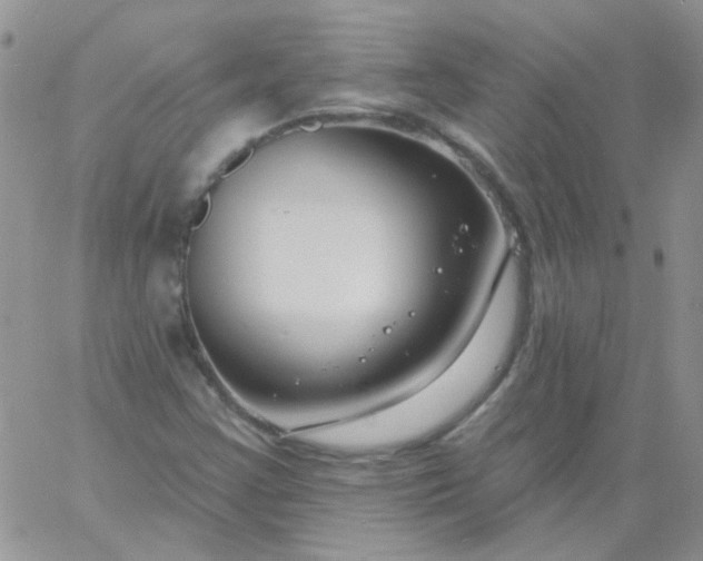 X0000060811355200511241925