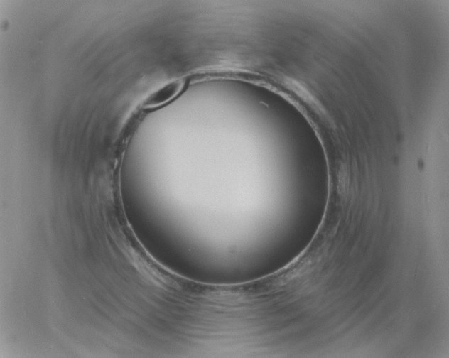 X0000060811356200511241925