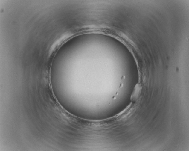 X0000060811357200511241925