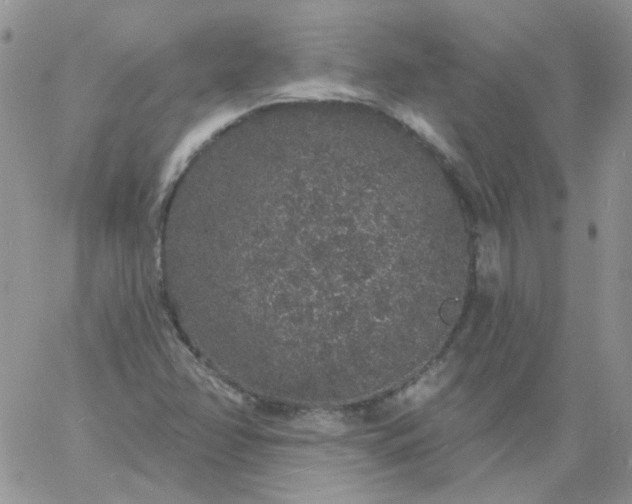 X0000060811358200511241925