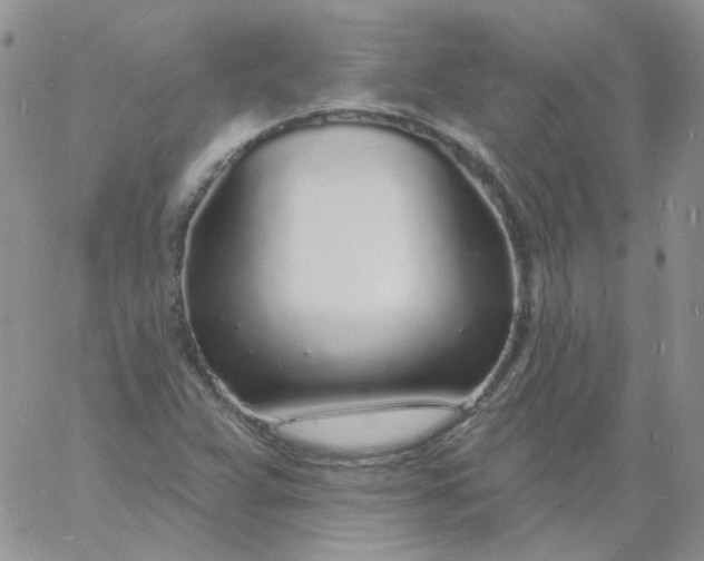 X0000060811359200511241925