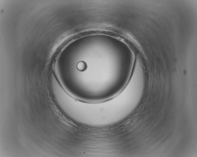 X0000060811360200511241925