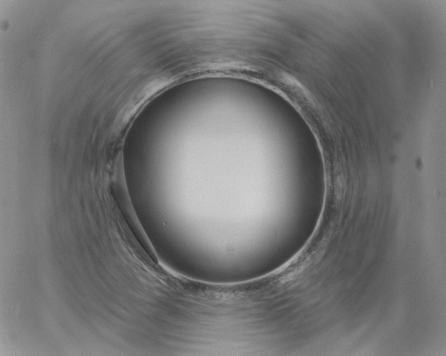 X0000060811361200511241925