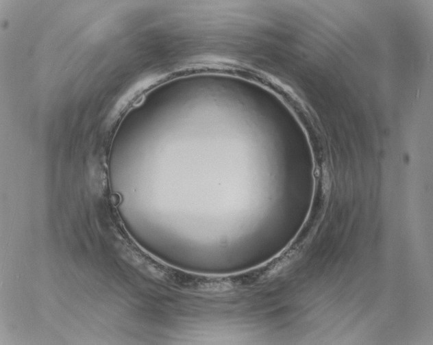 X0000060811363200511241925