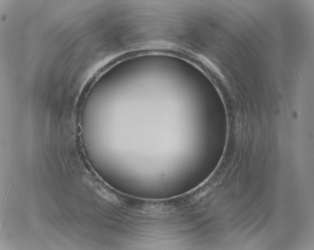 X0000060811364200511241925