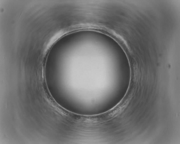 X0000060811365200511241925