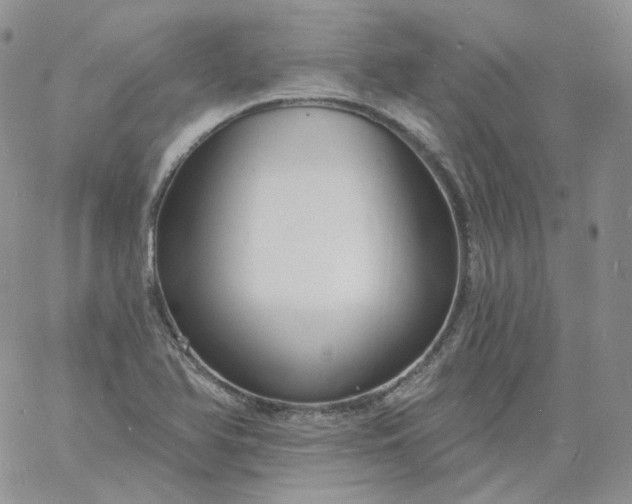 X0000060811366200511241925