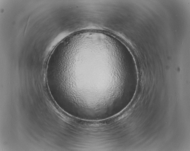 X0000060811367200511241925