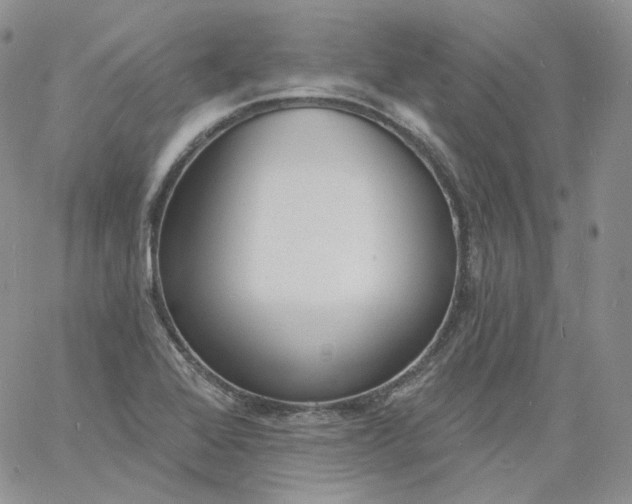 X0000060811368200511241925