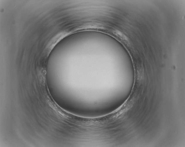 X0000060811369200511241925