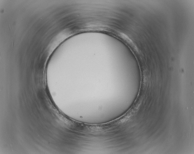 X0000060811370200511241925