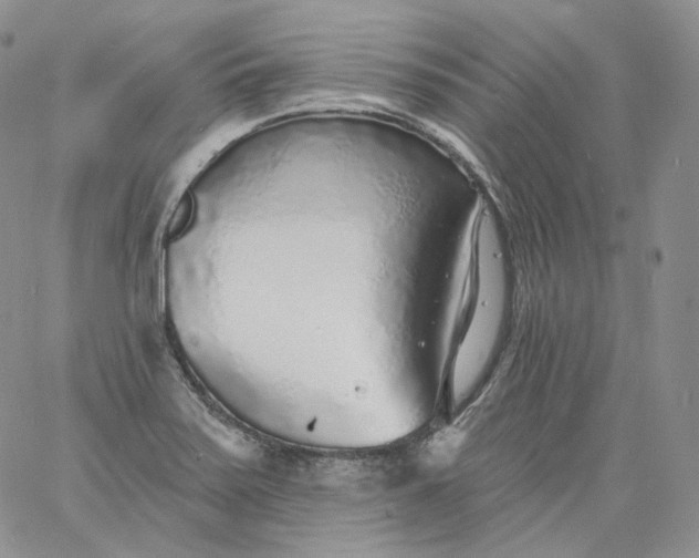 X0000060811371200511241925