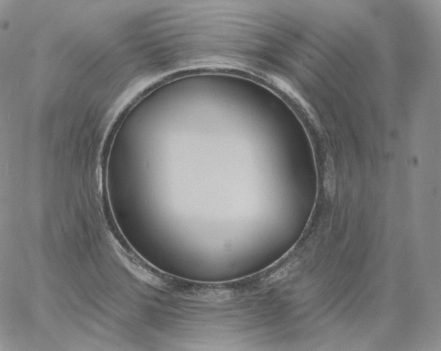 X0000060811372200511241925