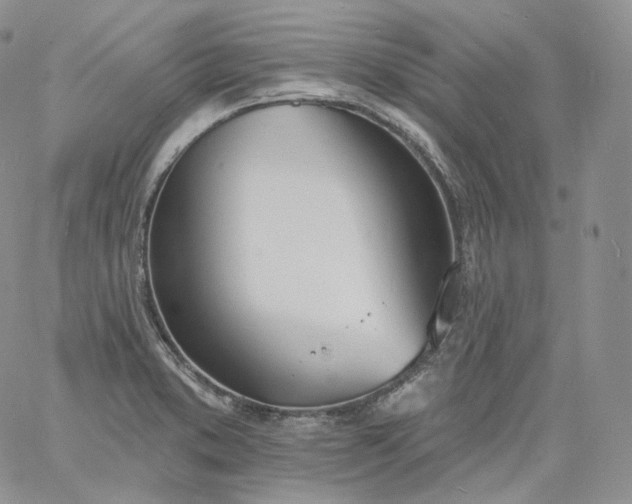 X0000060811373200511241925