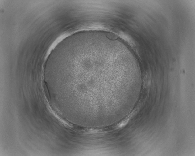 X0000060811374200511241925