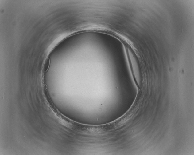 X0000060811375200511241925