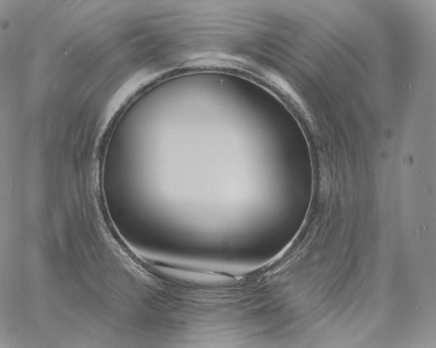 X0000060811376200511241925