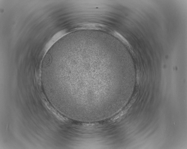 X0000060811378200511241925