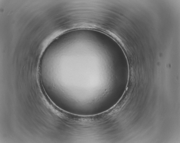 X0000060811379200511241925