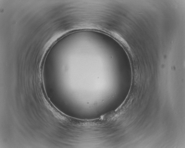 X0000060811380200511241925