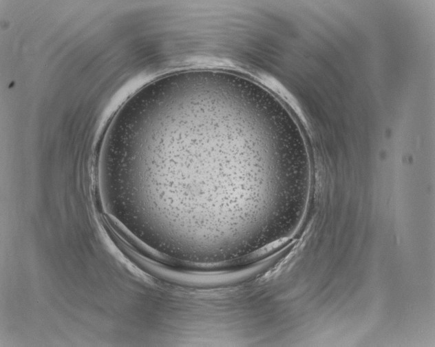 X0000060811381200511241924