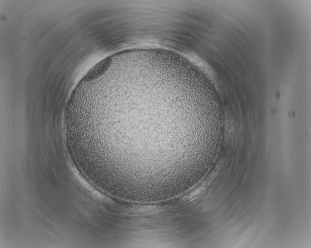 X0000060811382200511241924