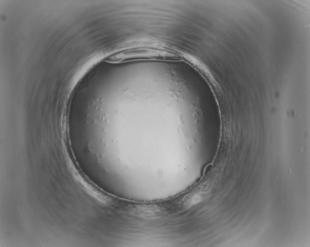 X0000060811383200511241924