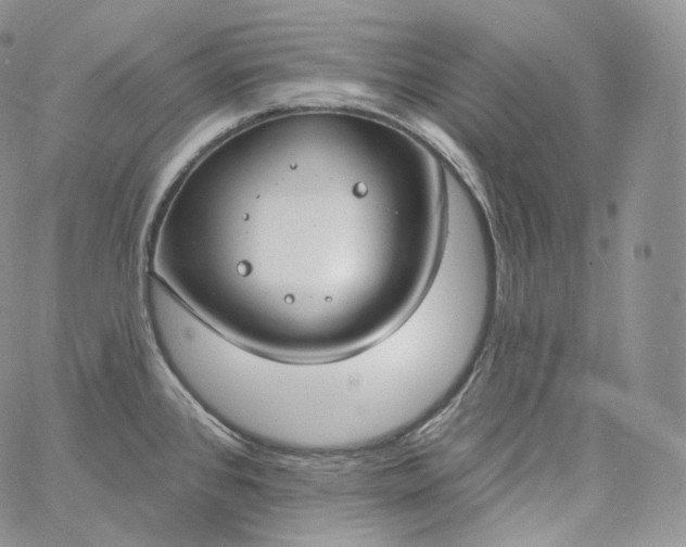 X0000060811384200511241924