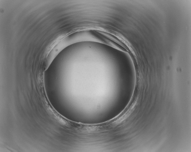 X0000060811385200511241924