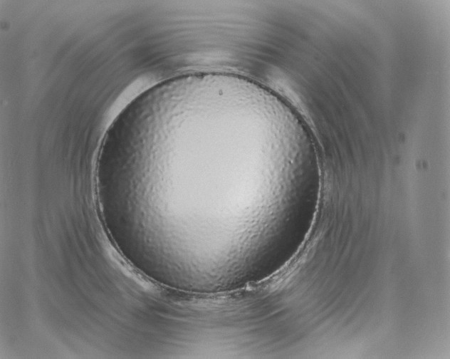 X0000060811386200511241924